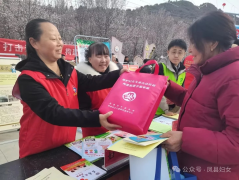 县区动态|凤县妇联积极参与“科技之春”宣传月活动